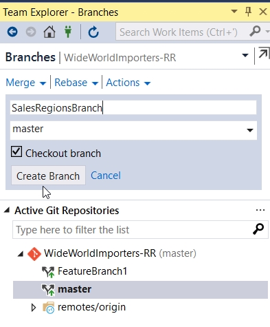 In Team Explorer - Branches, the Name field is set to SalesRegionsBranch. Master is selected from the drop-down menu, and under that, the check box for Checkout branch is selected.